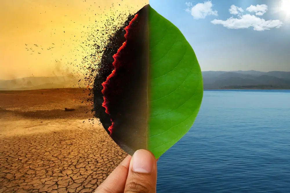 Concept image of wildfires and climate change effects.