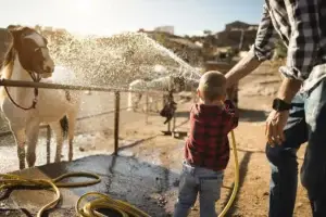 Low water pressure - Happy Family Bathing Horse Strong Water Pressure